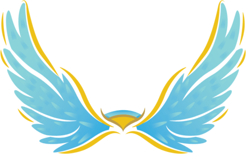 ns2 logo
